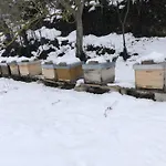 Apartamento Bee *