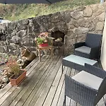 Bee *
