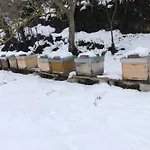 Bee Apartamento