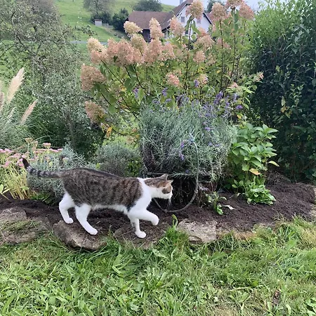 Διαμέρισμα Bee *