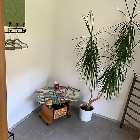 Apartman Bee
