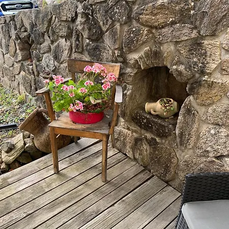 Bee Apartman Schuttertal