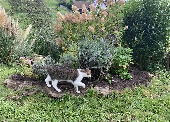 Διαμέρισμα Bee *