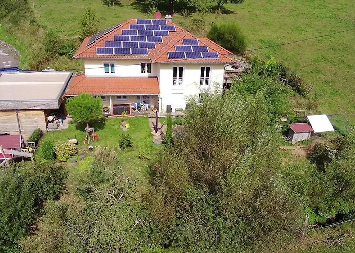 Apartment Bee Schuttertal